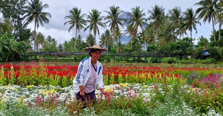 Flower Farm Assistant