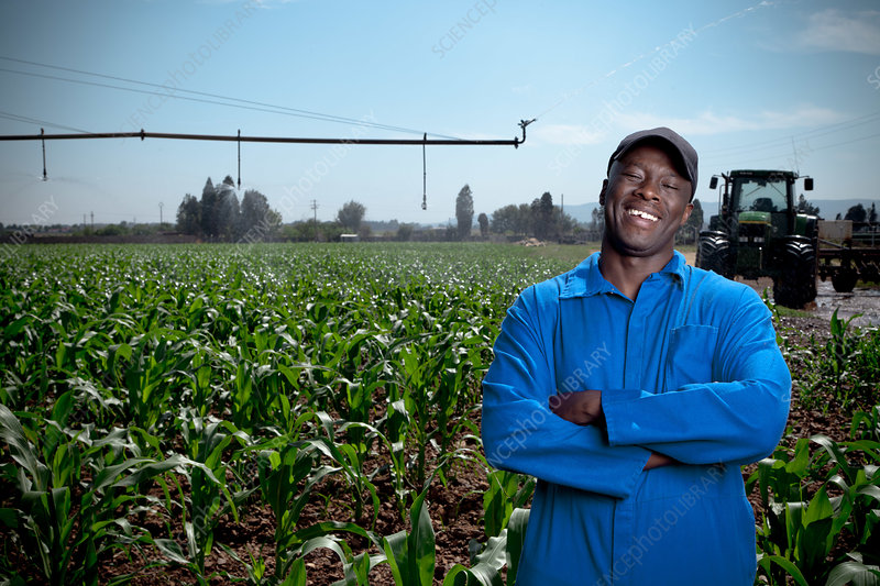 Farm Worker / Tractor Driver Needed at Mt Parker Farm